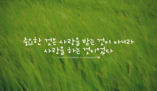 DAON KKANGCHONSONYEO(B)使用案例