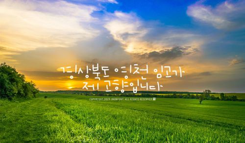 DAON KKANGCHONSONYEON(B)使用案例