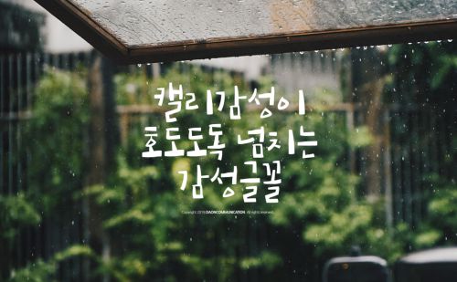 DAON KKUMKKUNEUNSONYEO(B)使用案例