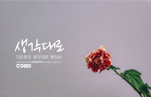 DAON SAENGGAGDAELO 500使用案例