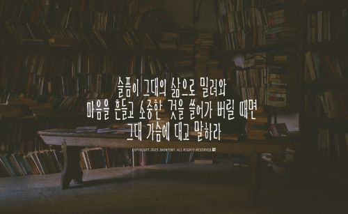 DAON SIMYACHAEGBANG使用案例