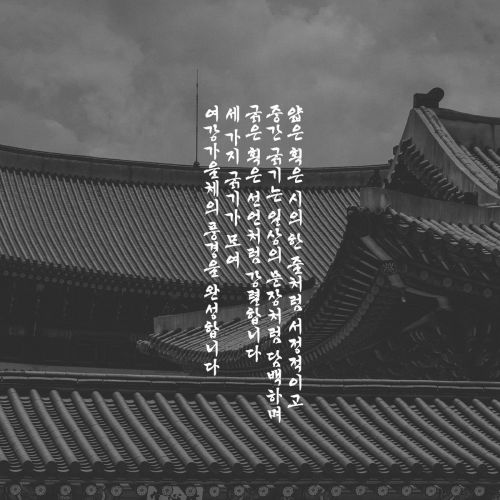 DAON YEOGANG GA EUL(B)使用案例
