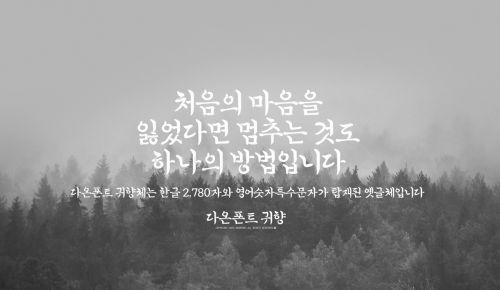 DAON GWIHYANG使用案例