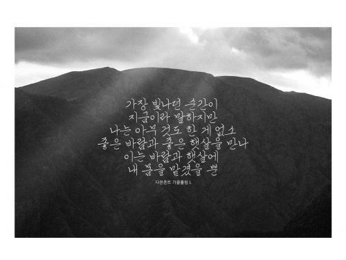 DAON GAEULHEULLIM(B)使用案例