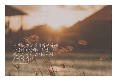 DAON GAEULHEULLIM(B)使用案例
