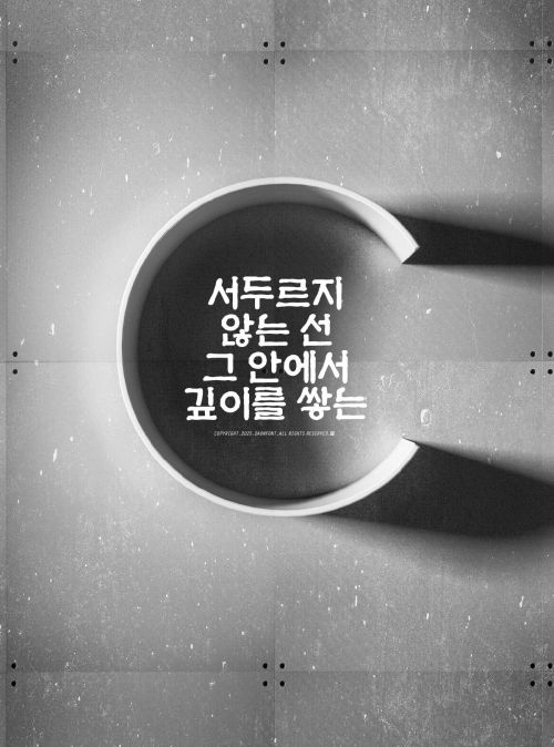 DAON SEOYEON(M)使用案例