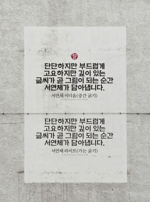 DAON SEOYEON(M)使用案例