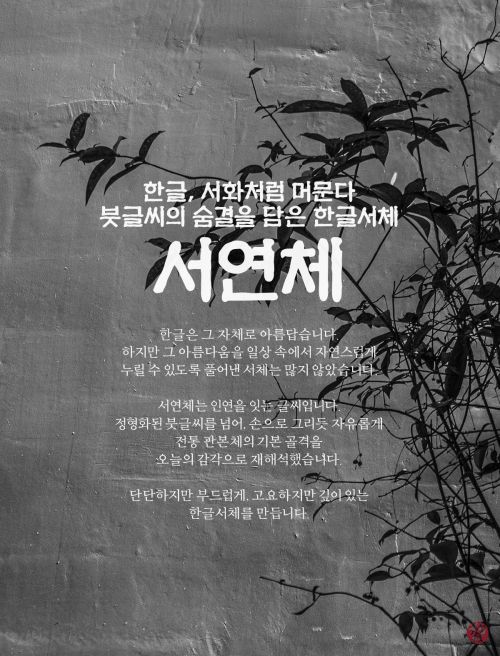 DAON SEOYEON(M)使用案例