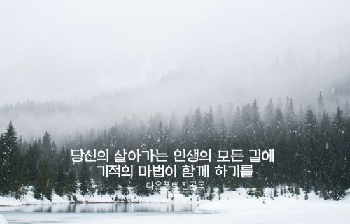 DAON JINGOLMOG(B)使用案例