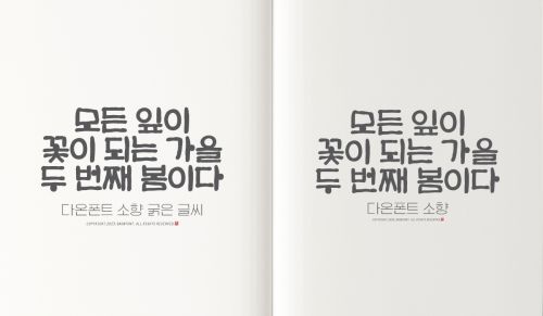 DAON SOHYANG(B)使用案例