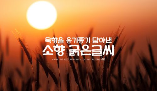 DAON SOHYANG(B)使用案例
