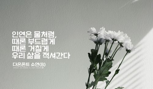 DAON SOYEON(B)使用案例