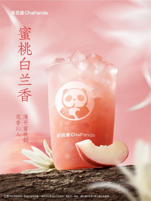 点字淡雅仿宋使用案例