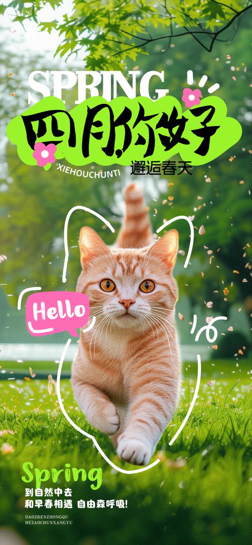 字由俏皮楷使用案例