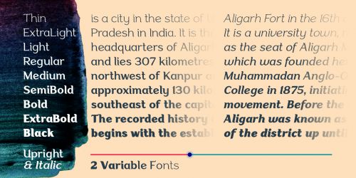 Aligarh使用案例
