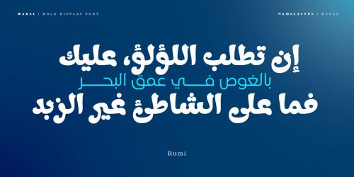 Wakel Arabic使用案例