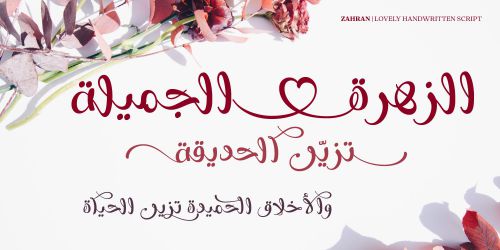 Zahran Arabic使用案例