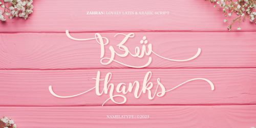 Zahran Arabic使用案例