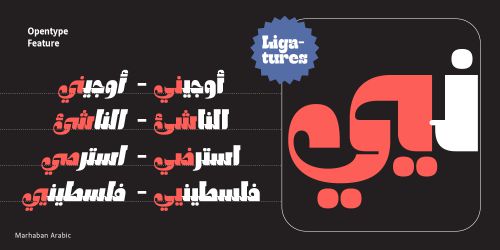 NT Marhaban Arabic使用案例
