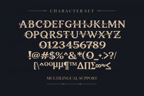 Ornix Velor - Luxury Elegant Serif Font使用案例