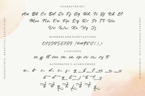 Ramashynta使用案例