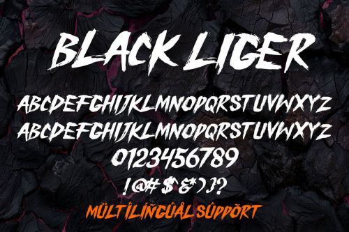 Black Liger使用案例