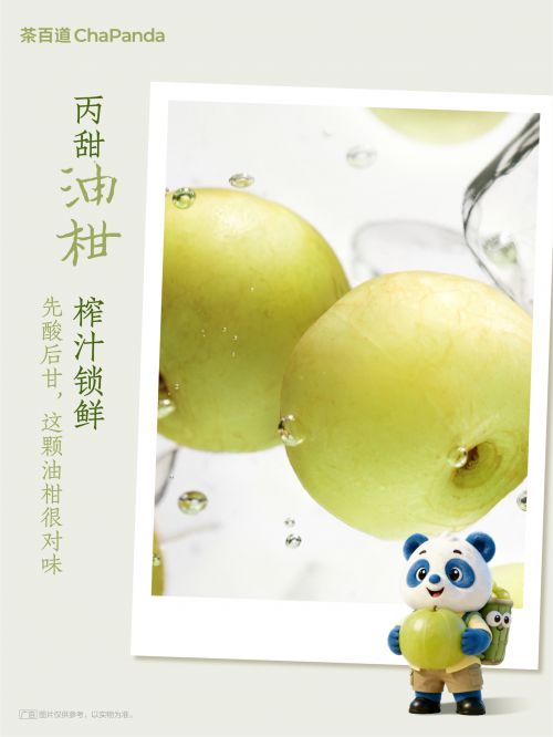 云峰林桥体,点字淡雅仿宋使用案例