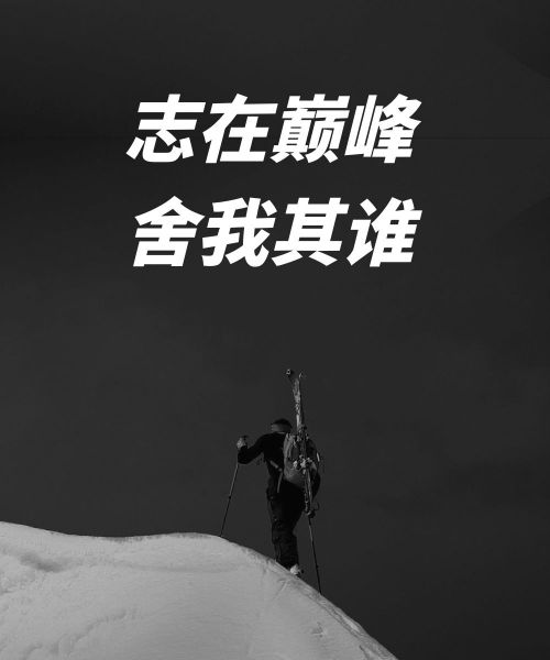 演示斜黑体使用案例