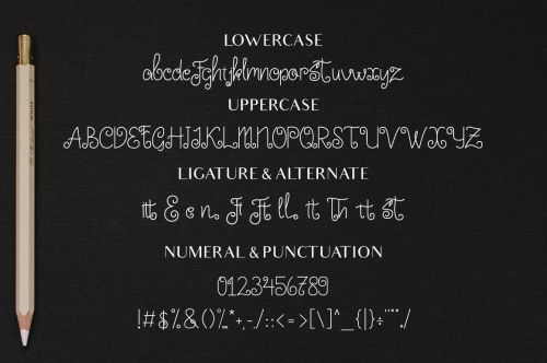 Little Edward使用案例