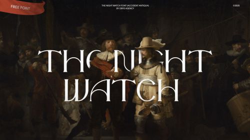 TheNightWatch使用案例