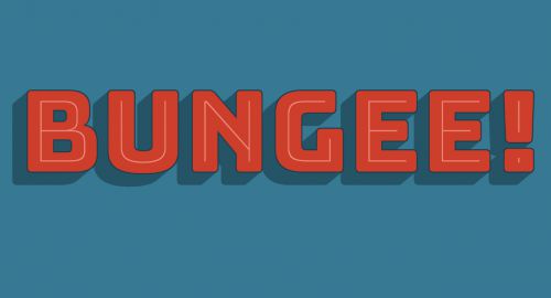 Bungee使用案例