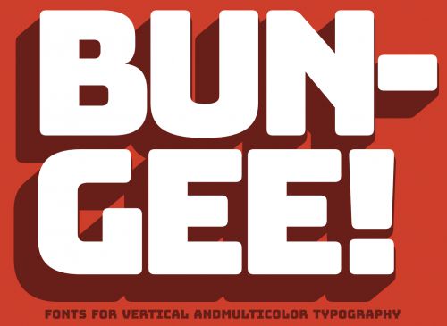 Bungee使用案例