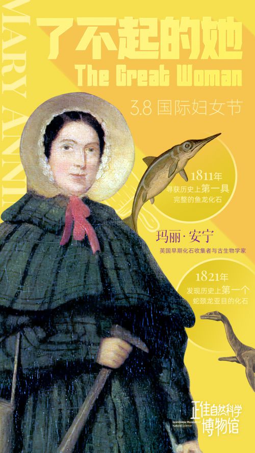 火山字型悍石,阿里巴巴普惠体,火山字型眉月,Playfair Display使用案例