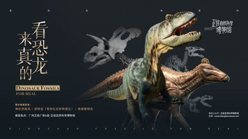 火山字型眉月,Playfair Display,阿里巴巴普惠体使用案例