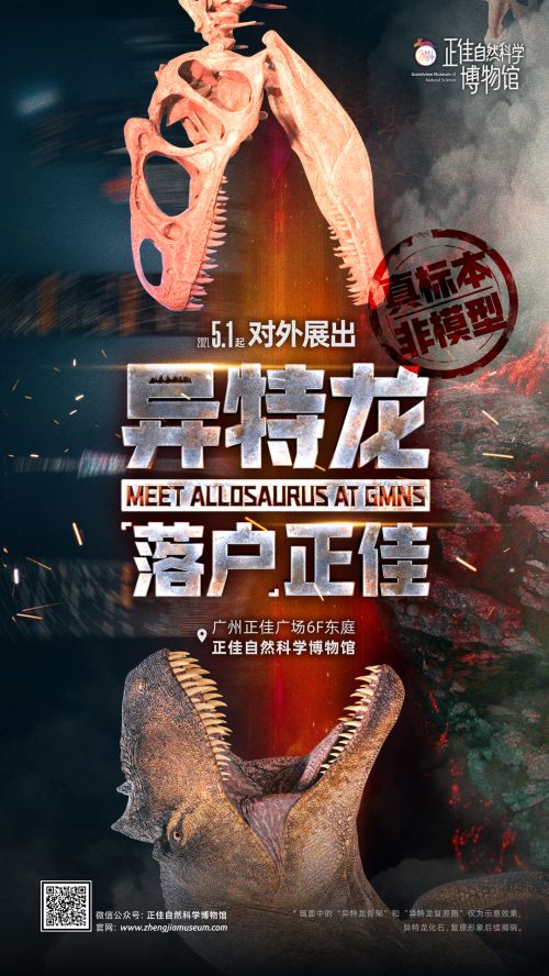 火山字型悍石,阿里巴巴普惠体使用案例
