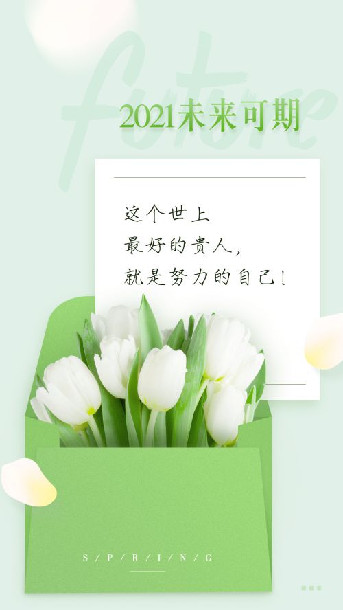 字家瑞鹤金书使用案例