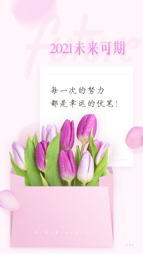 字家瑞鹤金书使用案例