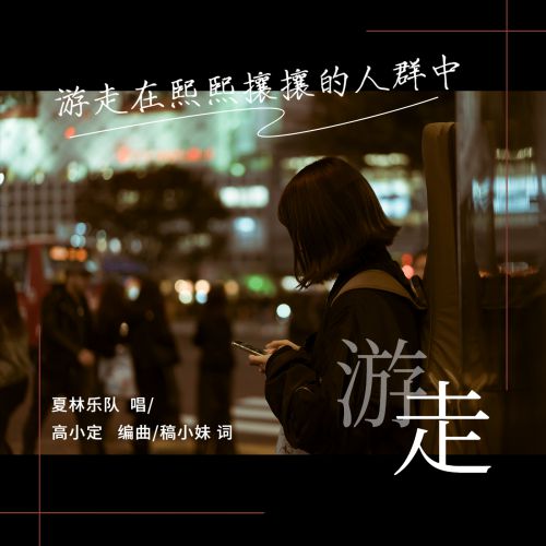 字家瑞鹤金书使用案例