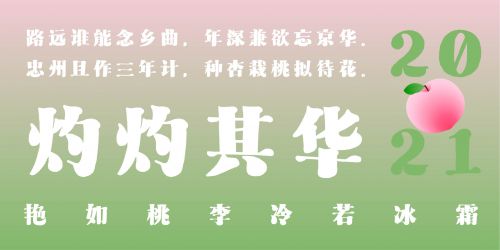 Aa顽宋使用案例