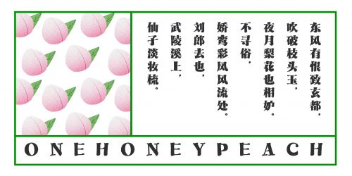 Aa顽宋使用案例