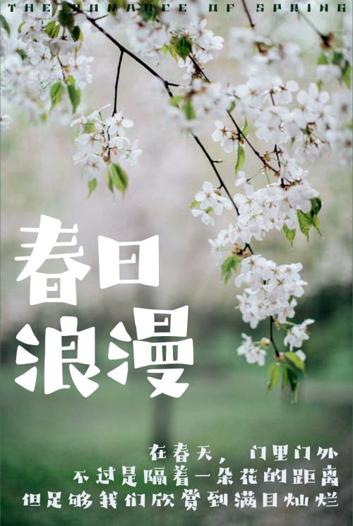Aa疏漫宋使用案例