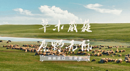 汉仪SIJIA体使用案例