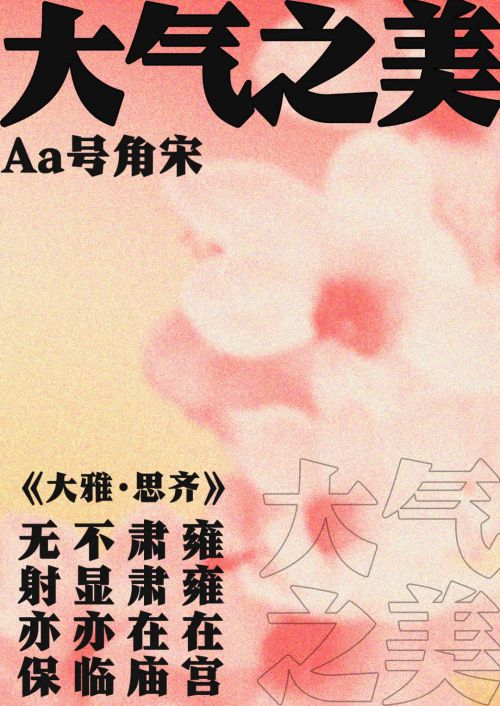 Aa号角宋使用案例