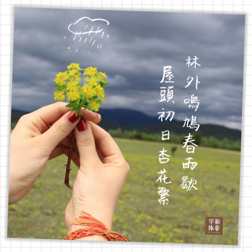 汉仪新蒂雪山体使用案例