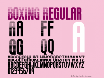 BOXING使用案例