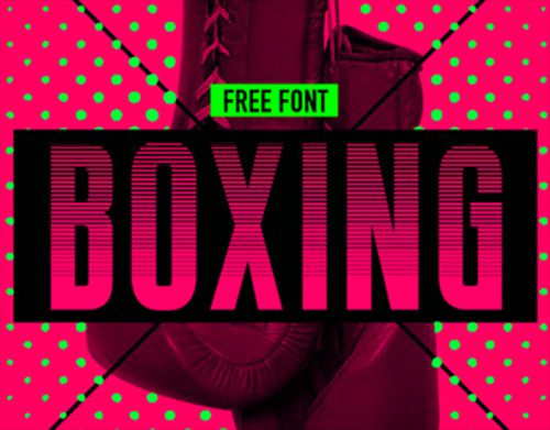 BOXING使用案例