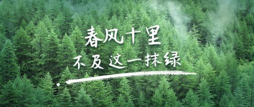 汉仪新蒂金钟体使用案例