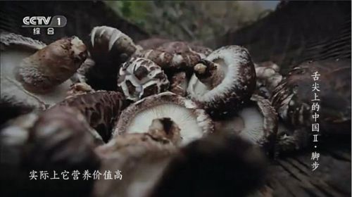 汉仪全唐诗使用案例