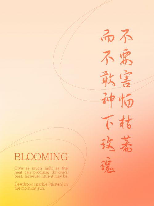 Aa菊花体 (非商业使用)使用案例