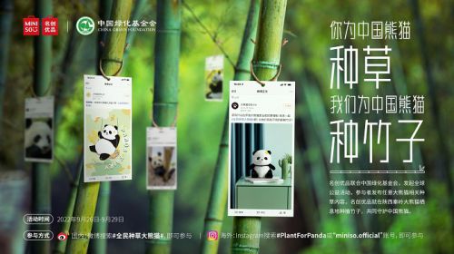 胡晓波真帅体使用案例